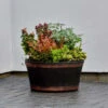 B&M Oakwood Barrel Planter 50cm -B and M Store 291239 oakwood barrel planter 50cm