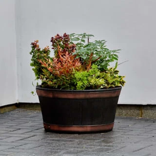B&M Oakwood Barrel Planter 50cm 3 B&M Oakwood Barrel Planter 50cm