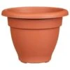 B&M Bell Pot Planter 30cm - Terracotta 1 B&M Bell Pot Planter 30cm - Terracotta -B and M Store 369864 bell pot planter 30cm terracotta