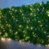 Bloom Solar Powered Expanding Artificial Leaf Trellis 200 X 100cm -B and M Store 379978 expanding leafy trellis 100 leds 2x1m 2