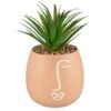 B&M Face Planter -B and M Store 380602 face planter