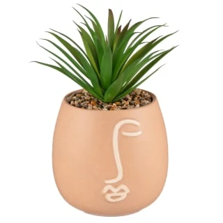 B&M Face Planter 3 B&M Face Planter