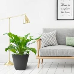 B&M Octavia Planter 38cm - Pewter 7 B&M Octavia Planter 38cm - Pewter -B and M Store 383772 octavia planter slate pewter 38cm 1