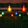Eveready Mains Powered LED Bulb String Lights 20pk - Multicolour -B and M Store 392913 eveready 20 mains operated multi colour bulb string lights 2