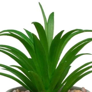 B&M Assorted Small Concrete Succulents 9 B&M Assorted Small Concrete Succulents - Image 7