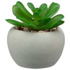 B&M Assorted Small Concrete Succulents 11 B&M Assorted Small Concrete Succulents -B and M Store 394713 small concrete succulent 3