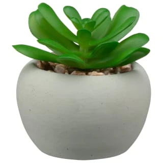 B&M Assorted Small Concrete Succulents 5 B&M Assorted Small Concrete Succulents - Image 3