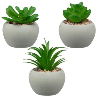 B&M Assorted Small Concrete Succulents 3 B&M Assorted Small Concrete Succulents